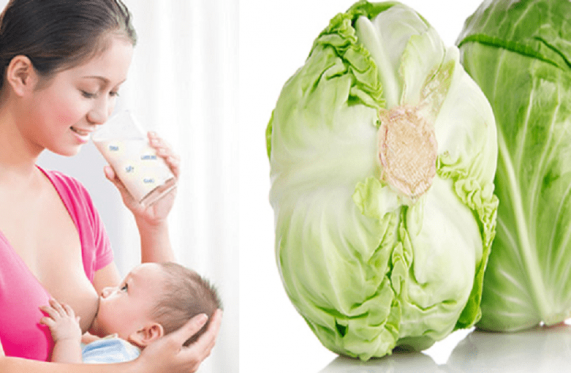 Mẹ sau sinh ăn bắp cải được không?